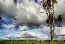 6.7万张票!国足对阵澳大利亚上座人数或创国内球赛纪录北京日报.