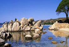 欧冠:双杀进八强 巴塞罗那队总比分4-1本菲卡队.